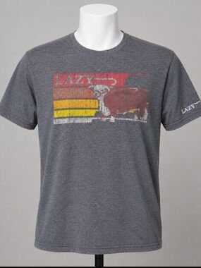 Lazy J Ranch Wear XL Gray Graphic Bull Western Rodeo T Shirt Distressed Logo Sof